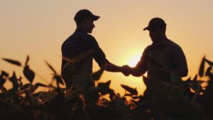 Two farmers talk on the field, then shake hands
