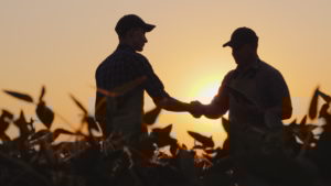 Two farmers talk on the field, then shake hands