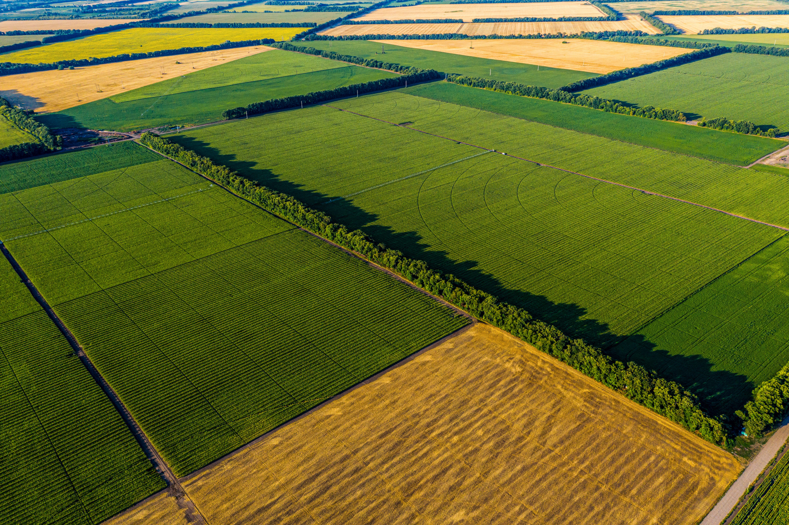 Aerial Flying over fields with straw bales at harvesting time, soybean, sunflowers and maize or corn, sunset time, top view.
